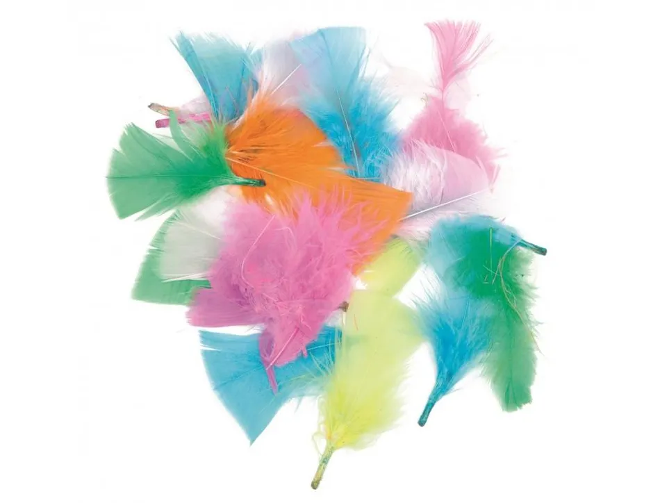 Plume duvet innspiro tailles et couleurs assorties sachet de 14g