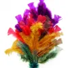 Plumes automne graine creative sachet de 25g 200 unites