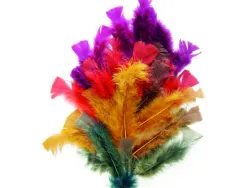 Plumes automne graine creative sachet de 25g 200 unites