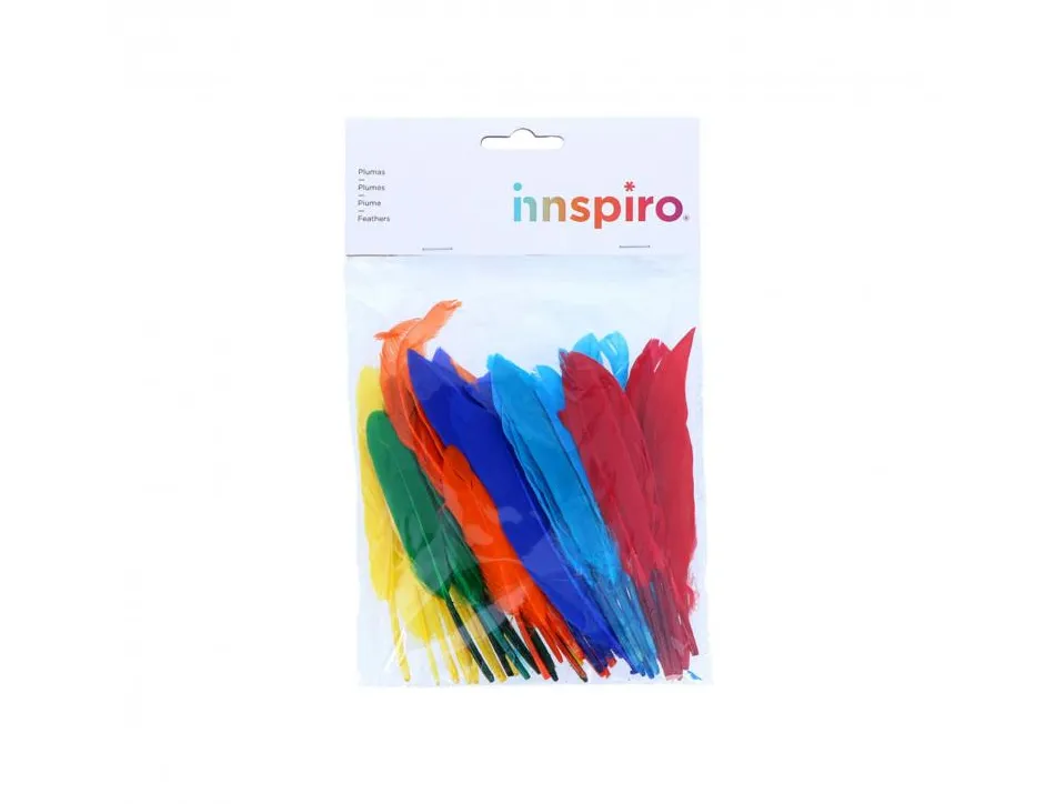 Plumes indien fontorpin si 13 cm sachet 60 unites coloris assortis