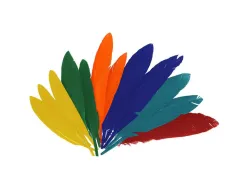 Plumes indien fontorpin si 13 cm sachet 60 unites coloris assortis