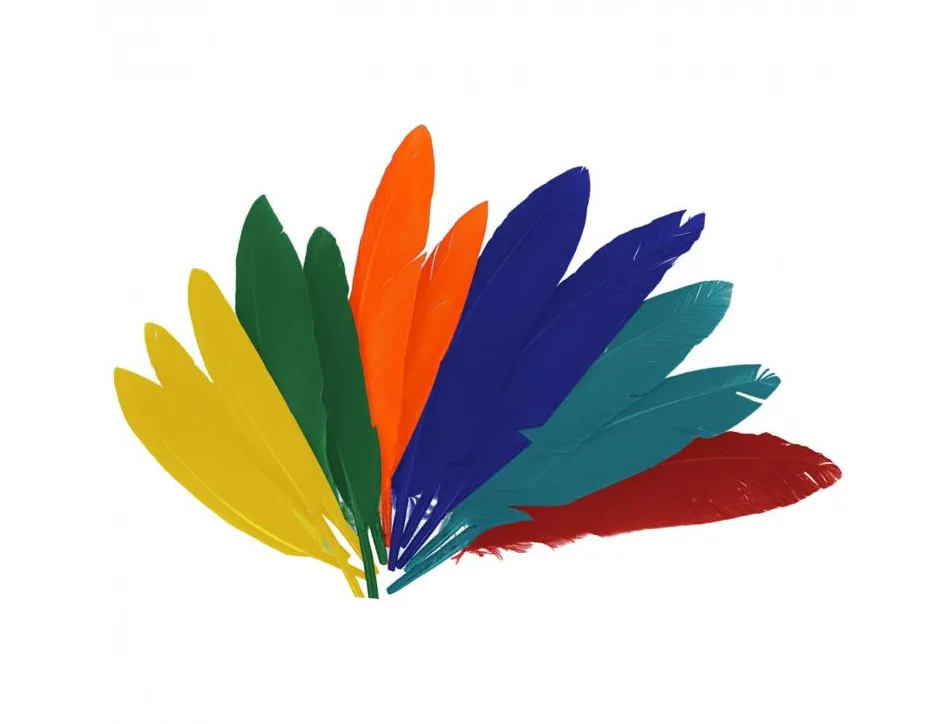 Plumes indien fontorpin si 13 cm sachet 60 unites coloris assortis