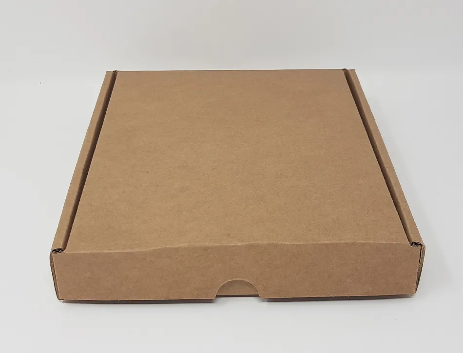Pochette adhesive paper list porte-documents cristal dl p/100