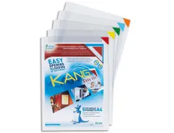 Pochette affichage tarifold pvc a4 repositionnable fermeture aimant 2 bandes adhésives dos lot 5 unités assorties