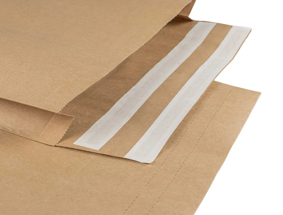 Pochette aller retour taille m auto-adh sive 340x420x80 mm boite de 250 unites