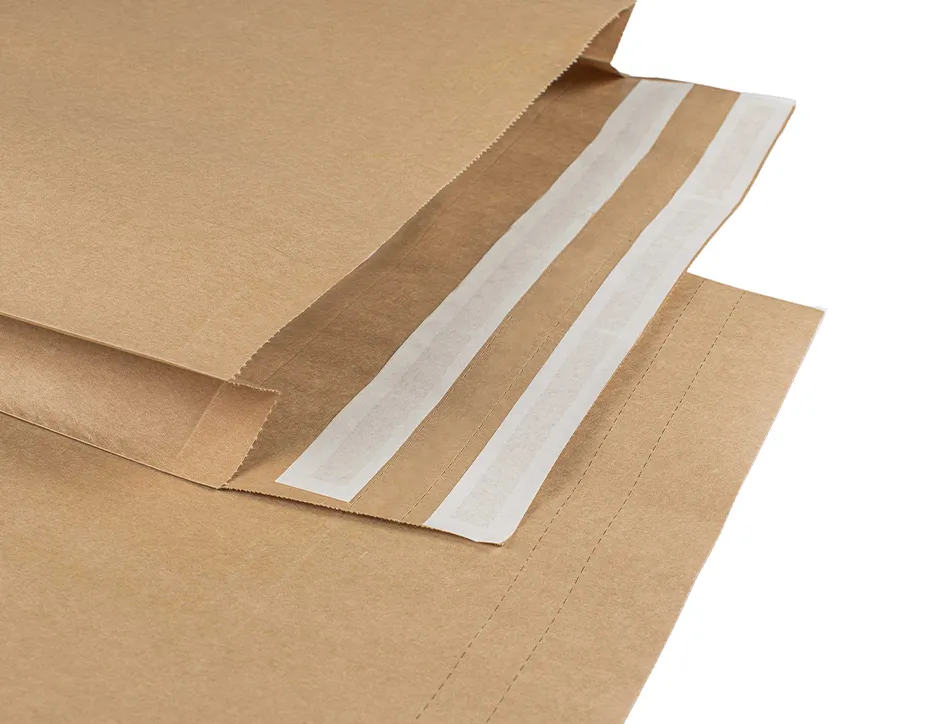Pochette aller retour taille s auto-adh sive 300x370x80 mm boite de 250 unites