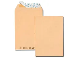 Pochette gpv dos carton 500g kraft blond 120g anti-pli 24 260x330mm boîte 100 unités