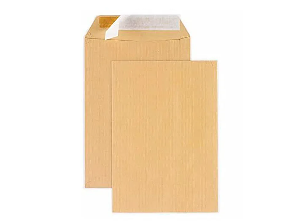 Pochette gpv dos carton 500g kraft blond 120g anti-pli c4 229x324mm boîte 100 unités