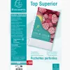 Pochette perforee exacompta a4 pp graine 7/100eme 70 microns paquet 100 unites