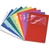 Pochettes coin exacompta carte 120 g avec fenêtre coloris vifs paquet 25