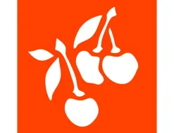 Pochoirs graine creative a dessiner fruits plastiques lavables 6 unites assortis