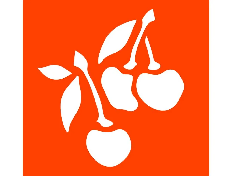 Pochoirs graine creative a dessiner fruits plastiques lavables 6 unites assortis