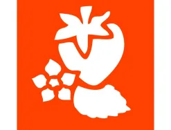 Pochoirs graine creative a dessiner fruits plastiques lavables 6 unites assortis