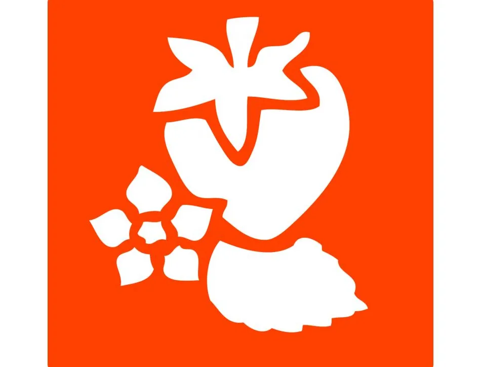 Pochoirs graine creative a dessiner fruits plastiques lavables 6 unites assortis