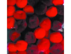 Pompons a la couleur graine creative 15 mm 45 pieces coloris rouge