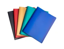 Porte-vues exacompta opak pp recycle a4 40 vues