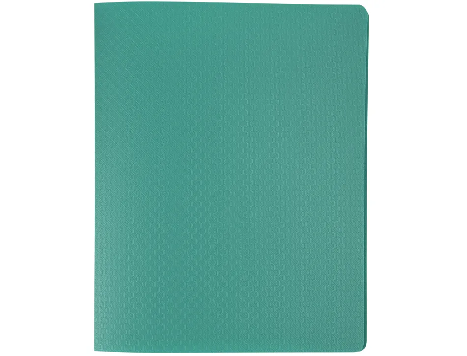 Porte-vues exacompta opak pp 40 vues 17x22cm coloris assortis