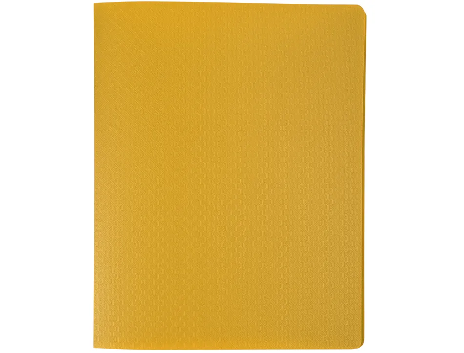 Porte-vues exacompta opak pp 40 vues 17x22cm coloris assortis