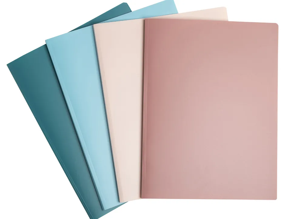 Porte-vues exacompta skandi pp recycle a4 80 vues coloris assortis