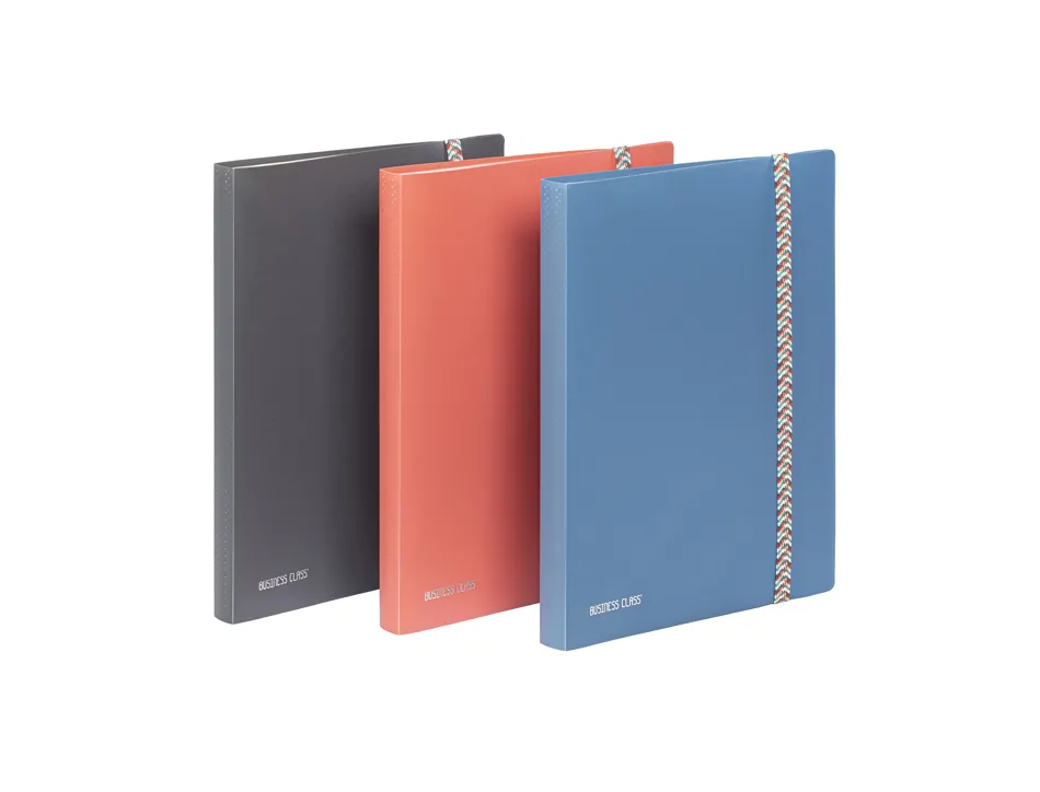 Porte-vues viquel business class polypropylene fermeture elastique a4 120 vues coloris aleatoire