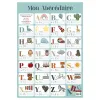 Poster bouchut grandrémy abécédaire 52x76cm 150g pelliculé effaçable à sec