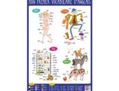 Poster bouchut grandrémy anglais 52x76cm 150g pelliculé effaçable à sec