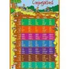 Poster bouchut grandrémy conjugaisons 52x76cm 150g pelliculé effaçable à sec