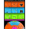 Poster bouchut grandrémy instruments de musique 52x76cm 150g pelliculé effaçable à sec