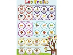 Posters souples bouchut les fruits supports ludiques materiau souple 150g 52x76 cm