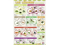 Posters souples bouchut les legumes supports ludiques materiau souple 150g 52x76 cm