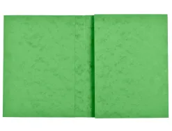 Protege-cahier exacompta carte lustree 265gr 24x32cm coloris vert