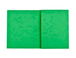 Protege-cahier exacompta carte lustree 225gr 17x22cm coloris vert lot 10 unites