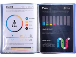 Protege-documents exacompta chromaline a4 polypropylene semi rigide couverture souple 40 pochettes 80 vues assortis
