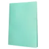 Protege-documents liderpapel polypropylene couverture flexible 30 pochettes fixes a4 220x297mm vert pomme