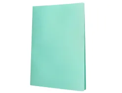 Protege-documents liderpapel polypropylene couverture flexible 30 pochettes fixes a4 220x297mm vert pomme