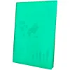Protege-documents liderpapel polypropylene couverture flexible 10 pochettes fixes a4 210x297mm vert translucide