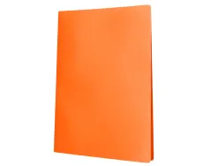 Protege-documents liderpapel polypropylene couverture flexible 10 pochettes fixes a4 210x297mm orange fluo