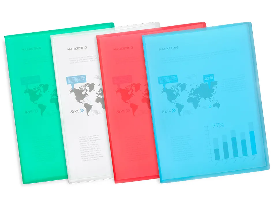 Protège-documents liderpapel polypropylène couverture flexible 10 pochettes fixes a4 210x297mm transparent