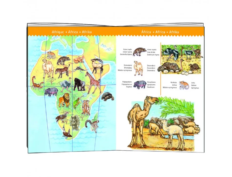 Puzzle interdacta animaux du monde 100 pcs 61x35cm + 1 livret + 1 poster