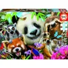 Puzzles carton 300 pieces educa les animaux 300 pieces