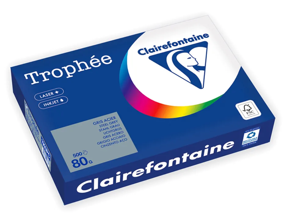 Ramette clairefontaine papier couleur a4 80g 500 feuilles coloris gris acier