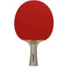 Raquettes tennis de table bois manche ergonomique caoutchouc picots retournes coloris assortis