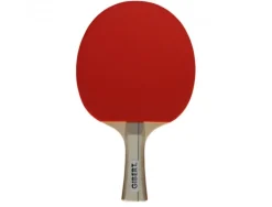 Raquettes tennis de table bois manche ergonomique caoutchouc picots retournes coloris assortis