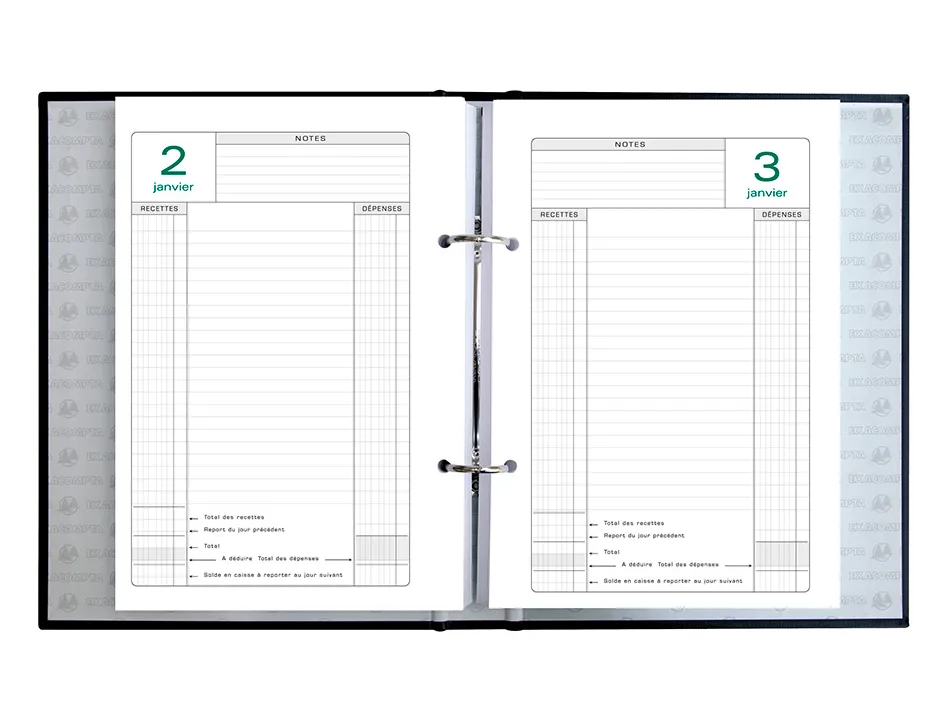 Recharge agenda exacompta perpetuel caisse 16x24 cm