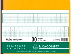 Registre piqûre exacompta colonnes 320x250mm 31 lignes 30 colonnes/2 pages 80 pages