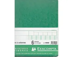 Registre piqûre exacompta colonnes 250x320mm 31 lignes 6 colonnes/page 80 pages