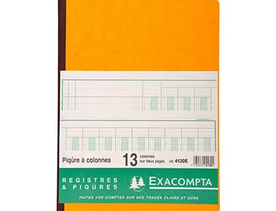 Registre piqûre exacompta colonnes 250x320mm 33 lignes 13 colonnes/2 pages 80 pages