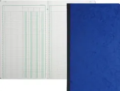 Registre piqûre exacompta colonnes 195x320mm 31 lignes 4 colonnes/page 80 pages