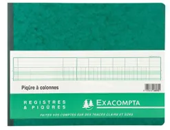 Registre piqûre exacompta colonnes 320x250mm 24 lignes 20 colonnes/2 pages 80 pages
