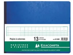 Registre piqûre exacompta colonnes 320x250mm 31 lignes 13 colonnes/page 80 pages